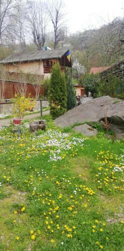 Villa Pensiune Piatra Mare