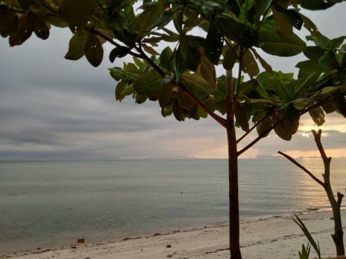 The Dreamcatcher Or Samui Sunset Hostel