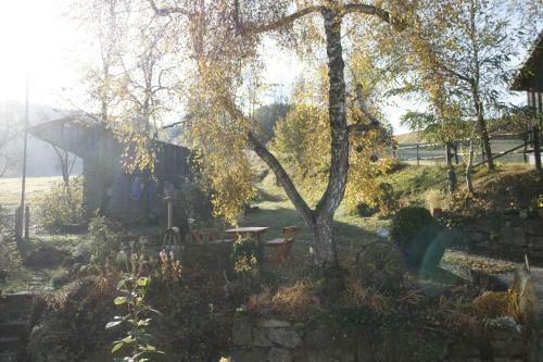 Apartamento Biohof Besenb�ck