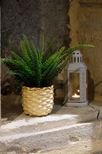 Bed & Breakfast La Dolcevita Spa Chambre Privative