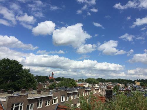 Rooftop View