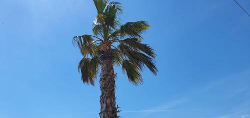 Apartamento App Kat, Tri Kantuna Osibov, Ka?tel Luk?i?, Split