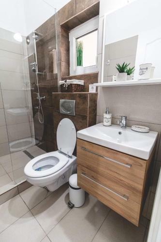 Apartamento Mip Studio Central Sibiu