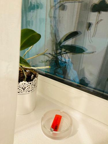 Apartamento Studio Happy May