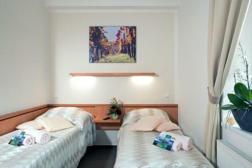 Hostal Wine Pension Prague