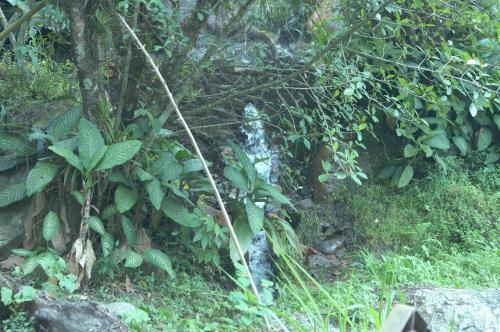Lodge Finca Agualinda
