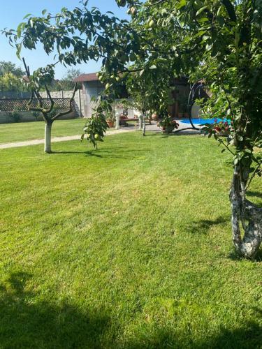 Villa Leisure House Hunedoara