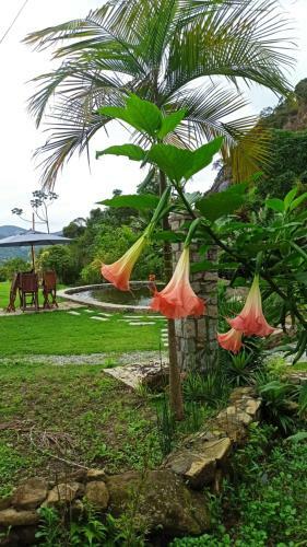 Casa Gibachi - S�tio Ecorural - Amparo