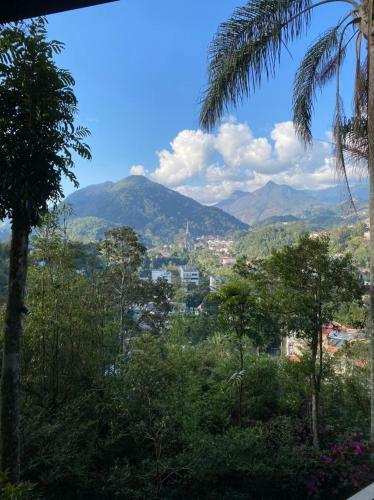 Bela Vista Reservas