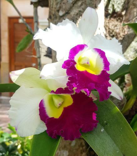 Apartamento Baansuan Residence, Pattaya