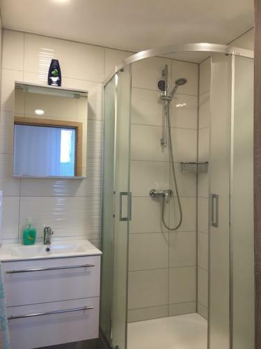 Apartamento Ubytov�n� Pu?kinova