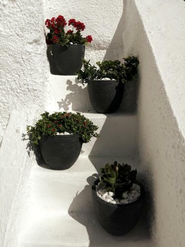 Santorinian Lava House