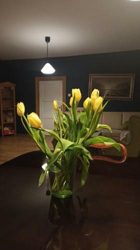 Apartament Roderick Olsztyn Centrum