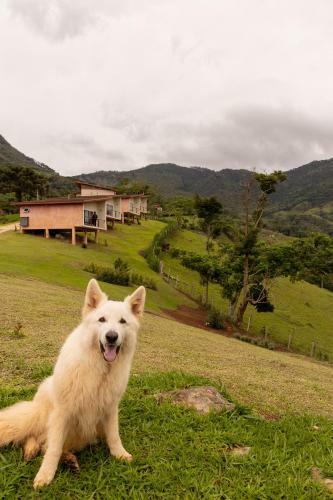Lodge Pousada Terra Dos P�ssaros