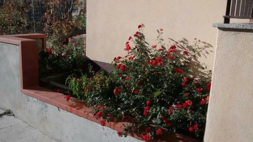Apartamento Casa Dell'oleandro