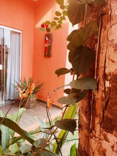 Casa Das Araras - Trancoso/ba