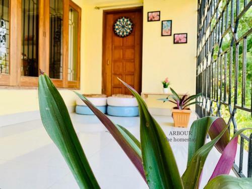 Arbour The Homestay
