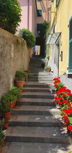Apartamento Dalla Raffy