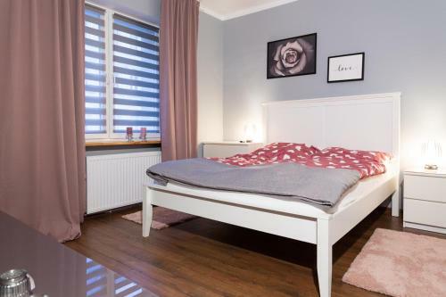 Apartament Studzienna 18