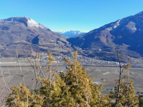 Apartamento Appartment Lodged Mamma Maria