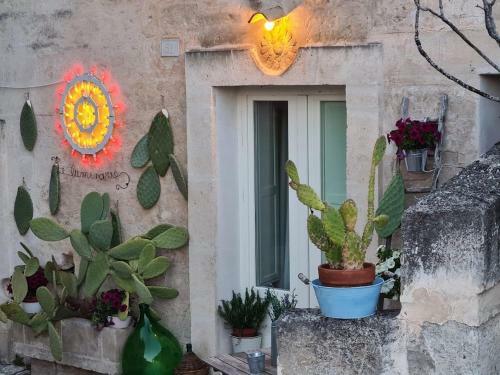 Le Luminarie Sassi