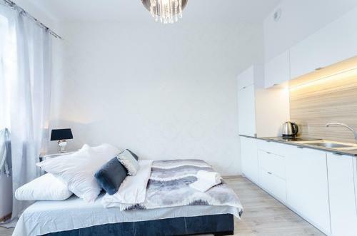 Venice Apartments/old Town