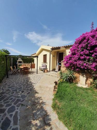 Casa Alex