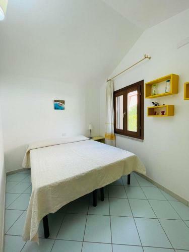 Casa Alex