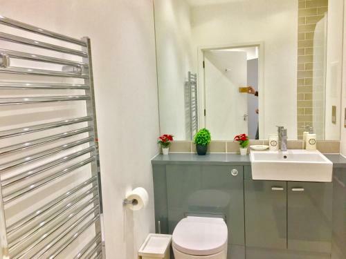 London Excel 2 Bedrooms River View Apartment