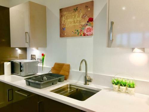 London Excel 2 Bedrooms River View Apartment