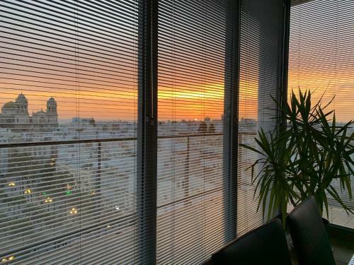 Phoenix Lookout Apartment By Cadiz4rentals