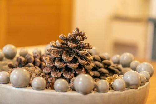Pinecones