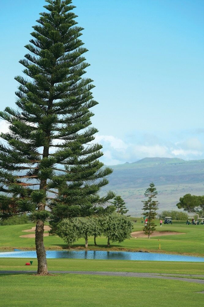 Villa Paniolo Greens Resort