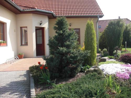 Hostal Pension Olga