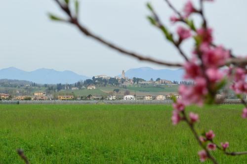 Apartamento Appartamento Mi.lu
