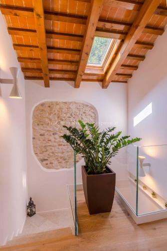 B&B Mulino Di Campese