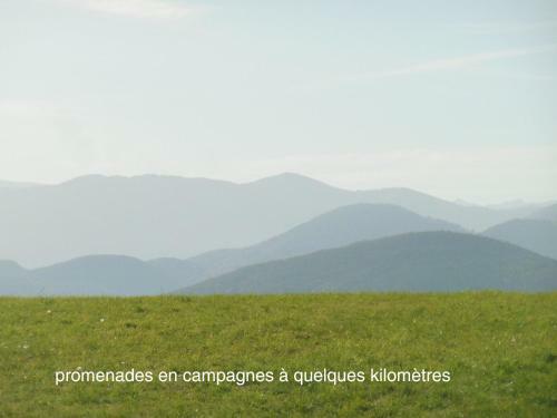L'annexe