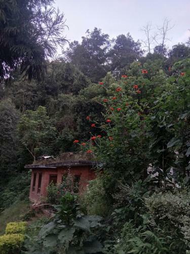 Hostal Bhanjayang Resort