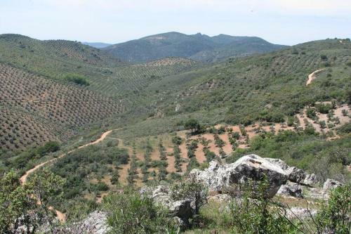 Cortijo "era Grande 2"