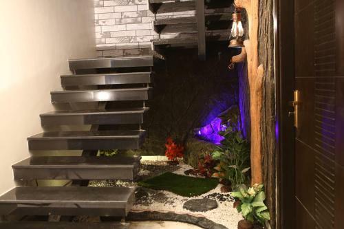 Bed & Breakfast Beach Resort