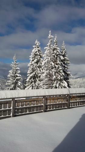 Chalet Hotel La Croix Blanche