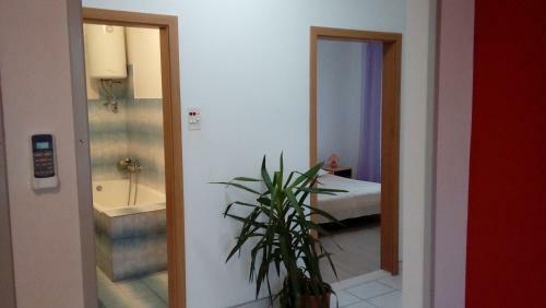 Apartment Guste