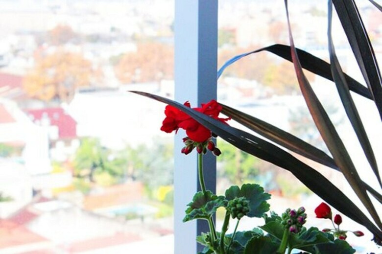 Hotel Master Suite Devoto