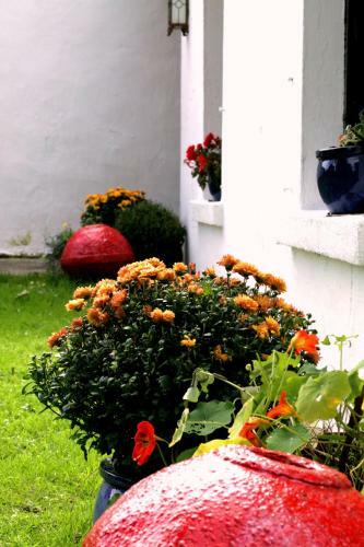 Kilcommon Lodge Holiday Hostel