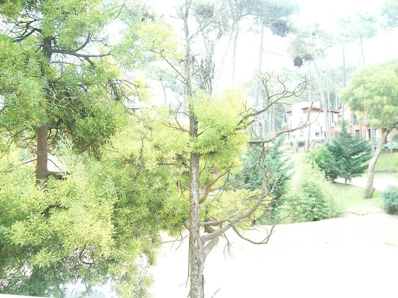 Hotel Avutarda De Carilo