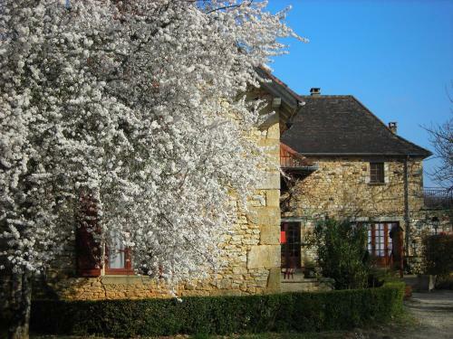 Hotel H�tel Chastrusse