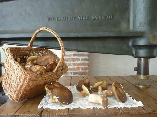 Bed & Breakfast Domaine De La Tannerie