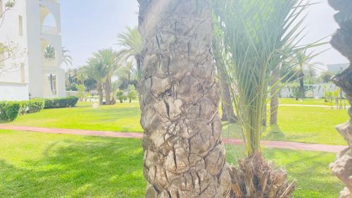 Hotel One Resort Jockey Monastir
