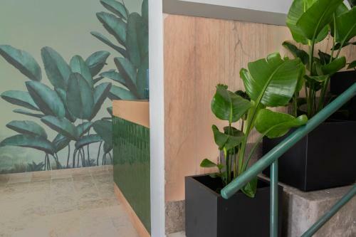 Hostal Succeed Campo Pequeno Suites