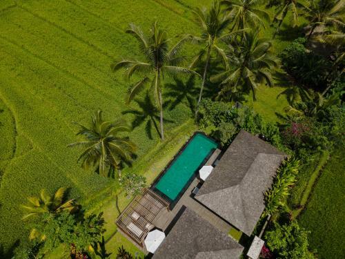 Hotel Kappa Senses Ubud